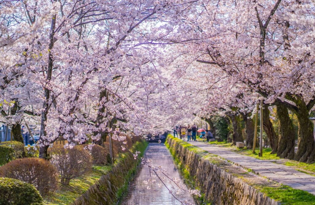 The path of philosophy on spring, Kyoto, Japan,