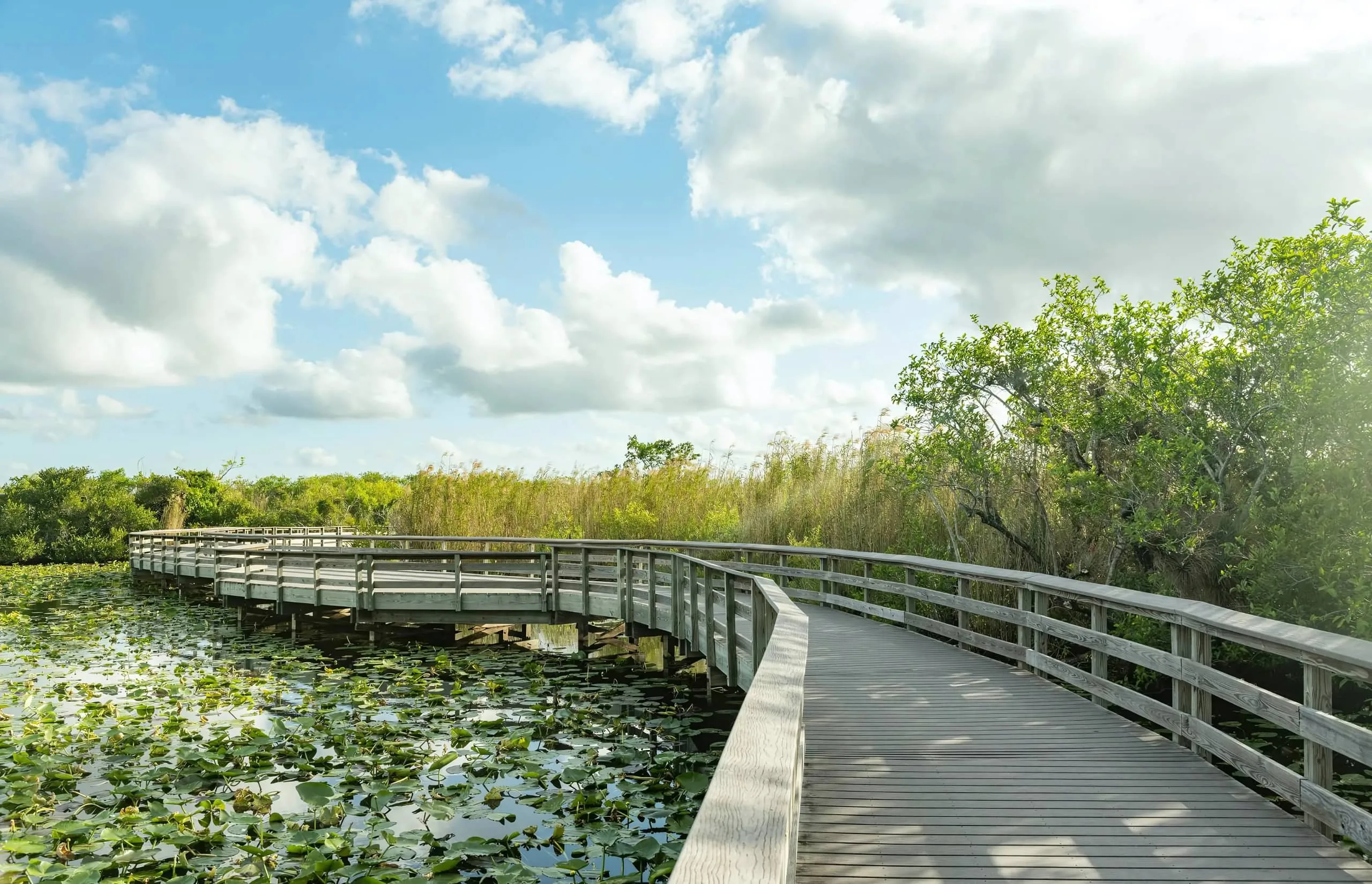 Everglades National Park